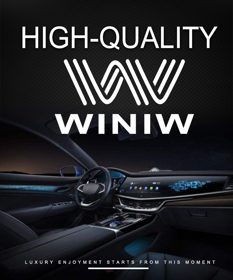 Winiw Automotive Aftermaket Leather Materials