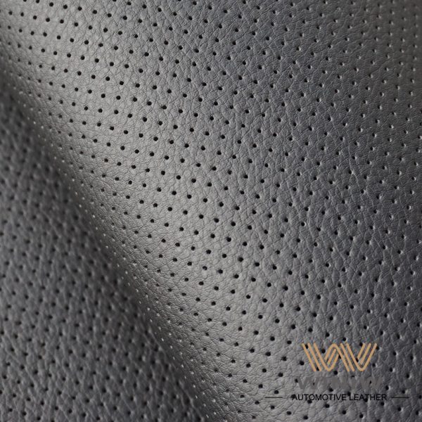 Auto Leather Upholstery 04